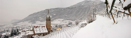 Tramin im Winter