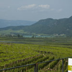 Von der Weinkellerei Tramin zum Kalterer See