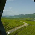 Von der Weinkellerei Tramin zum Kalterer See