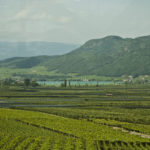 Von der Weinkellerei Tramin zum Kalterer See