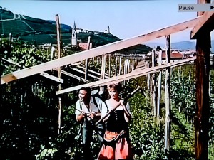 Weinberg in Tramin mit Traminer Kirchturm und Kastelatzkirchlein.