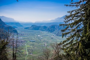 Frühling im Unterland