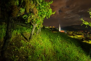 Tramin by night in the vineyards