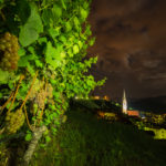 Tramin by night in the vineyards